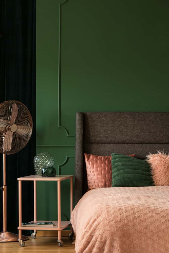saturated colour accent wall ideas