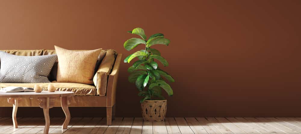 terracotta and green colour combination