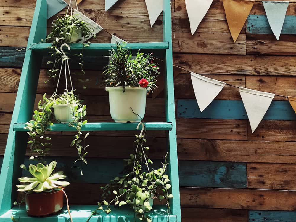 green ladder shelf