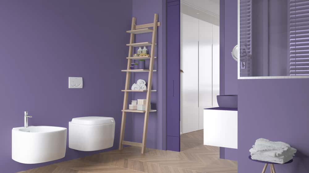 bathroom ladder shelf
