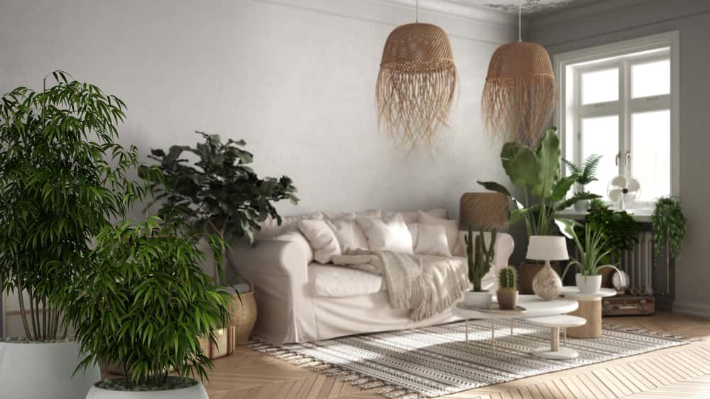 sunny room into a tropical haven