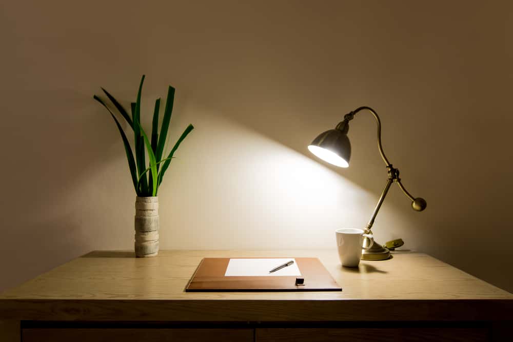 task light for reading