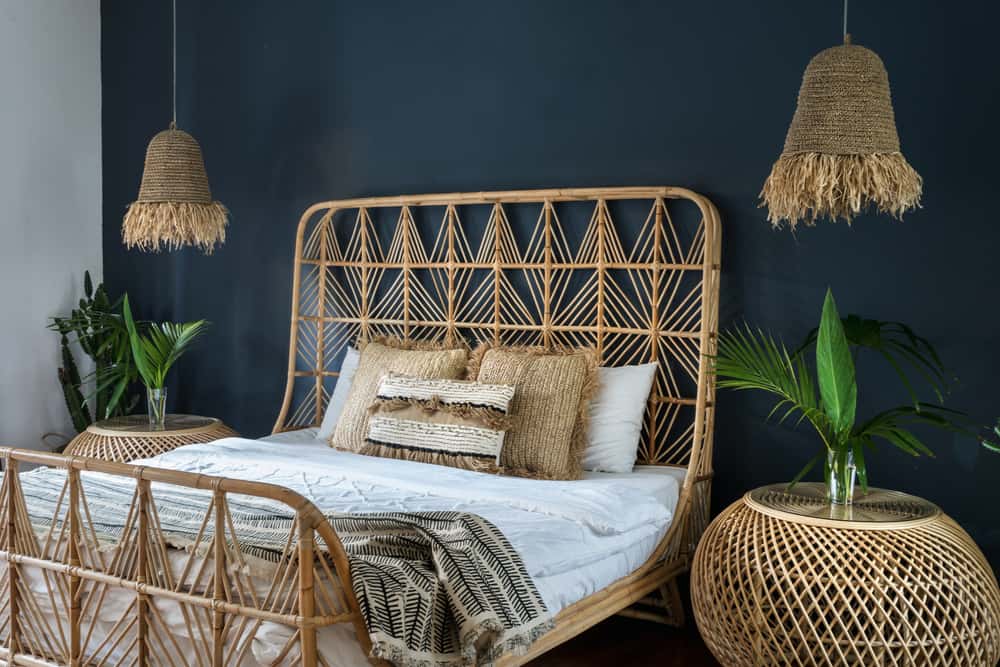 tropical-themed space