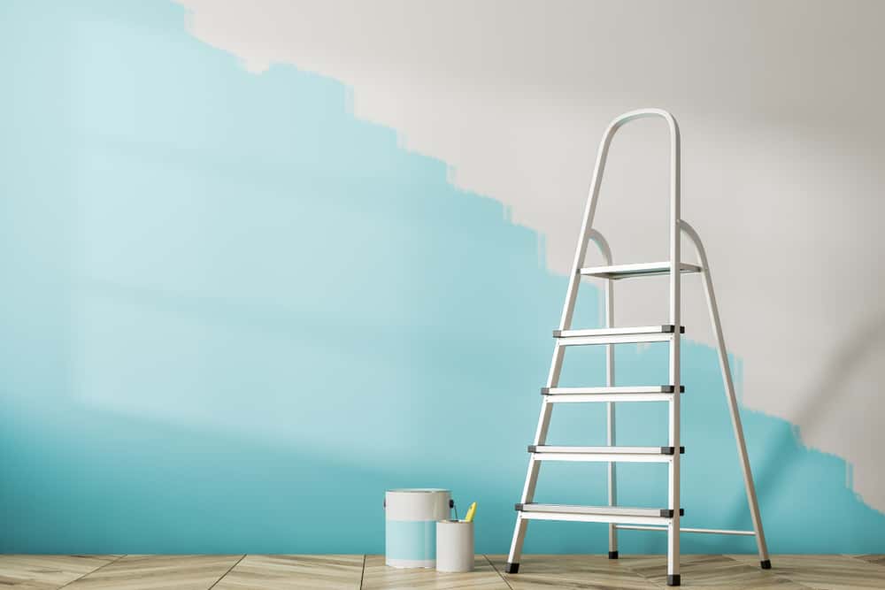 emulsion paint