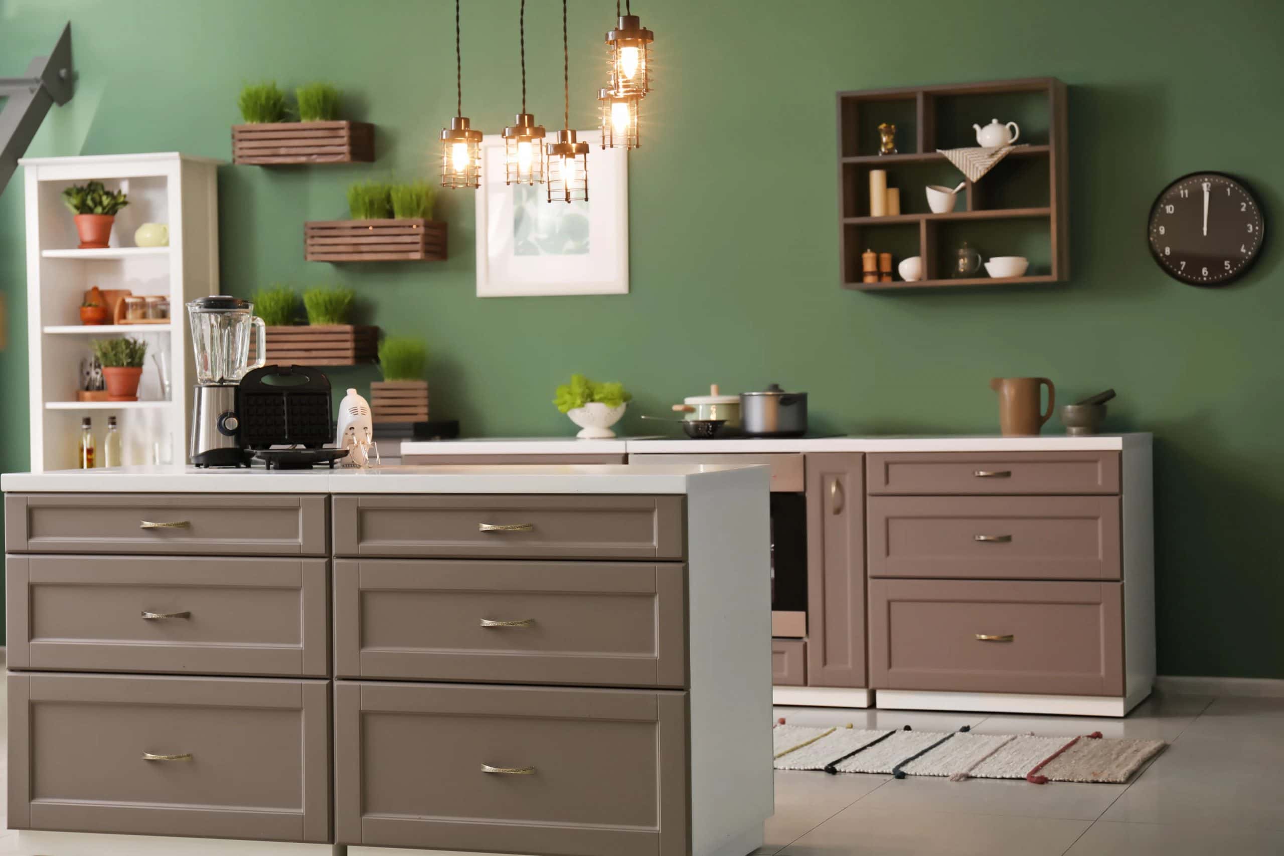 Small modular kitchen colour combination with grey cabinets and leafy green accents