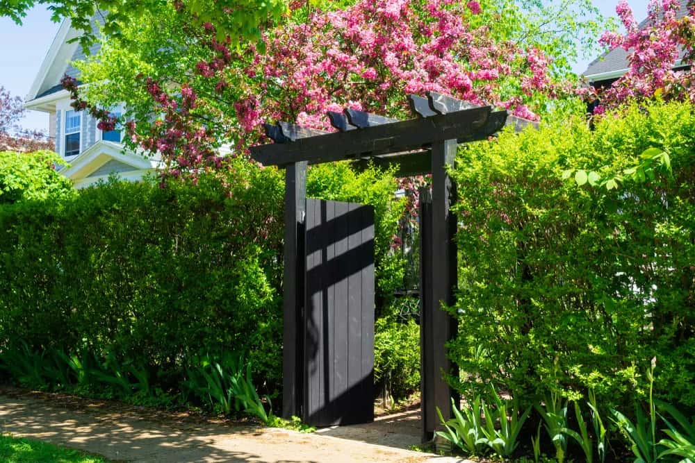 Elegant Boundary Wall Design with wood gate and lush garden entrance