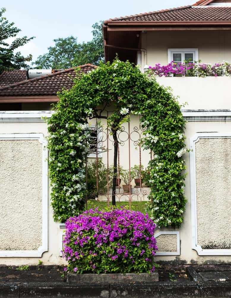 Floral Simple Boundary Wall Design for home with iron arch gate