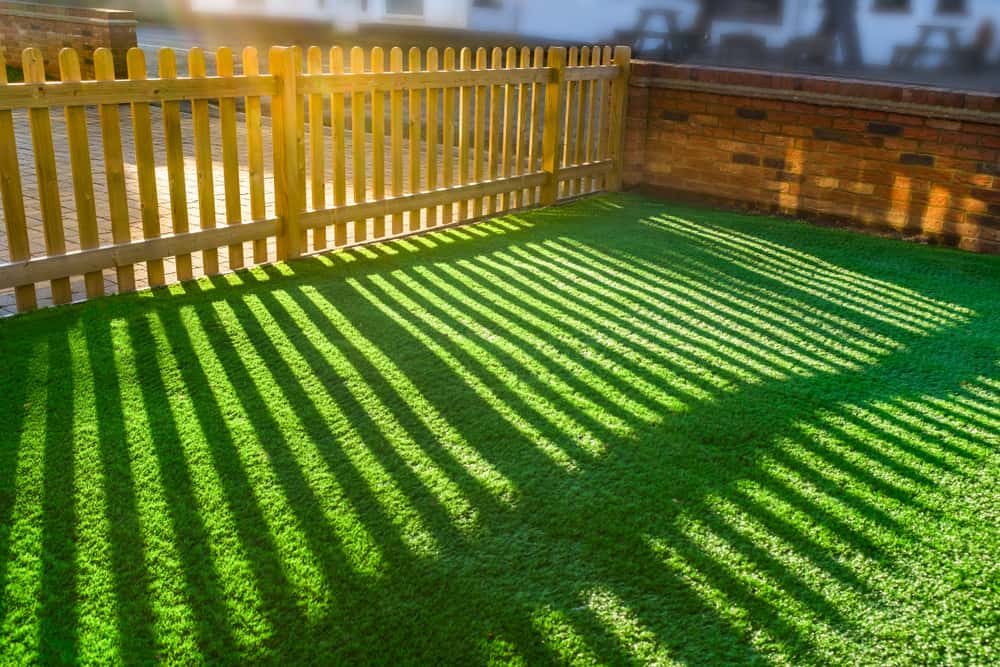 Minimalist Boundary Wall Design with wood fencing and sunny backyard