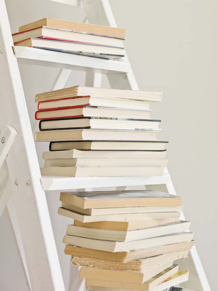 ladder bookshelf