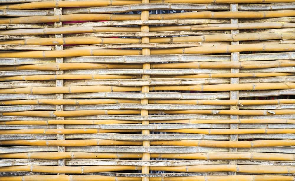 Bamboo Wooden Boundary Wall Design for eco-friendly outdoor spaces