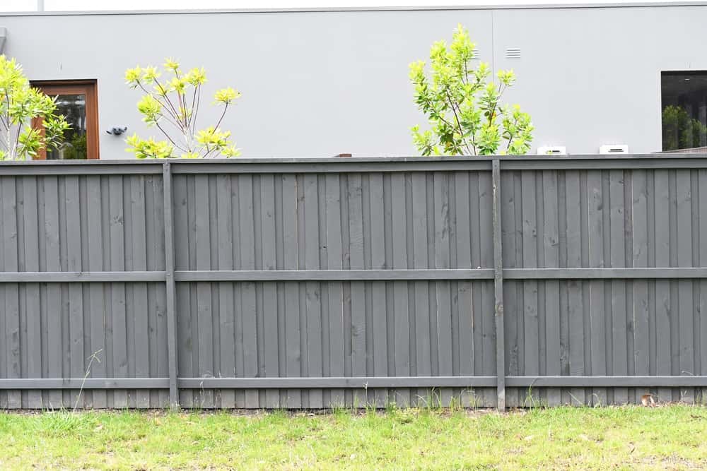 Gray boundary wall design blends with modern house exterior
