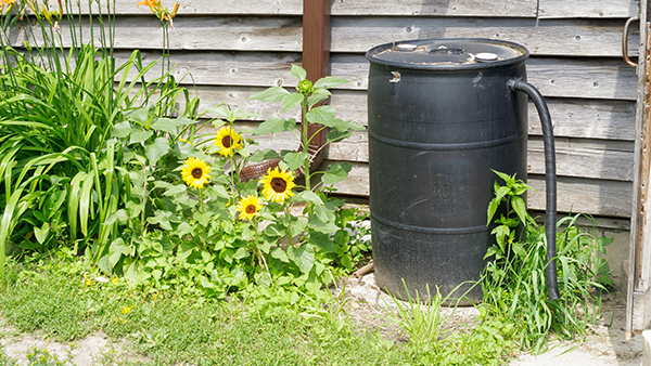 Installing a Rain Barrel