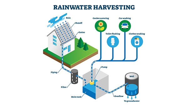 Rainwater Tanks