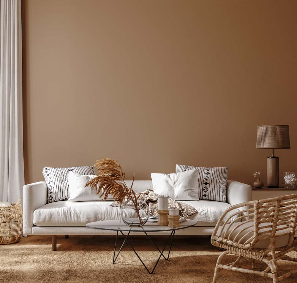 advantages of brown living room