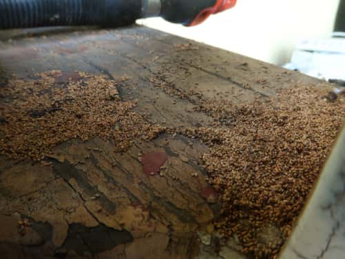 Surface get rid of termite signs with deep inspection tip