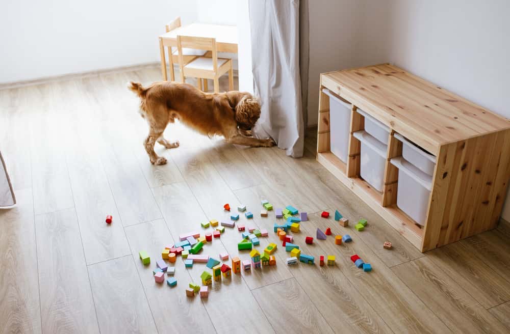 storage cubicals for toy storage