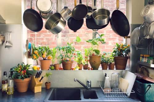 Practical Kitchen Designs with indoor plants and hanging cookware