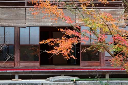 advantages of window blinds