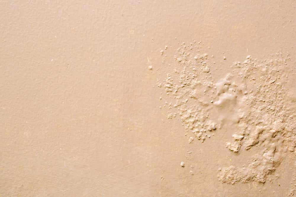 damp walls