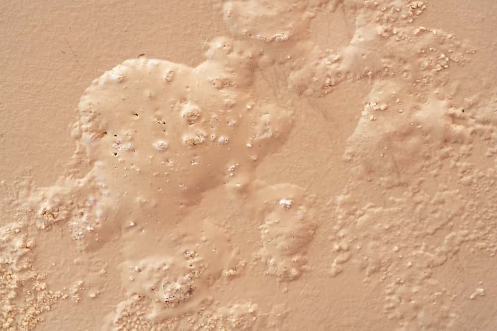 prevent wall damp