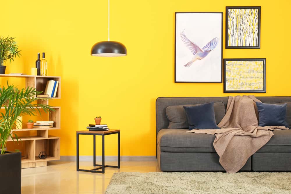 sunshine wall color