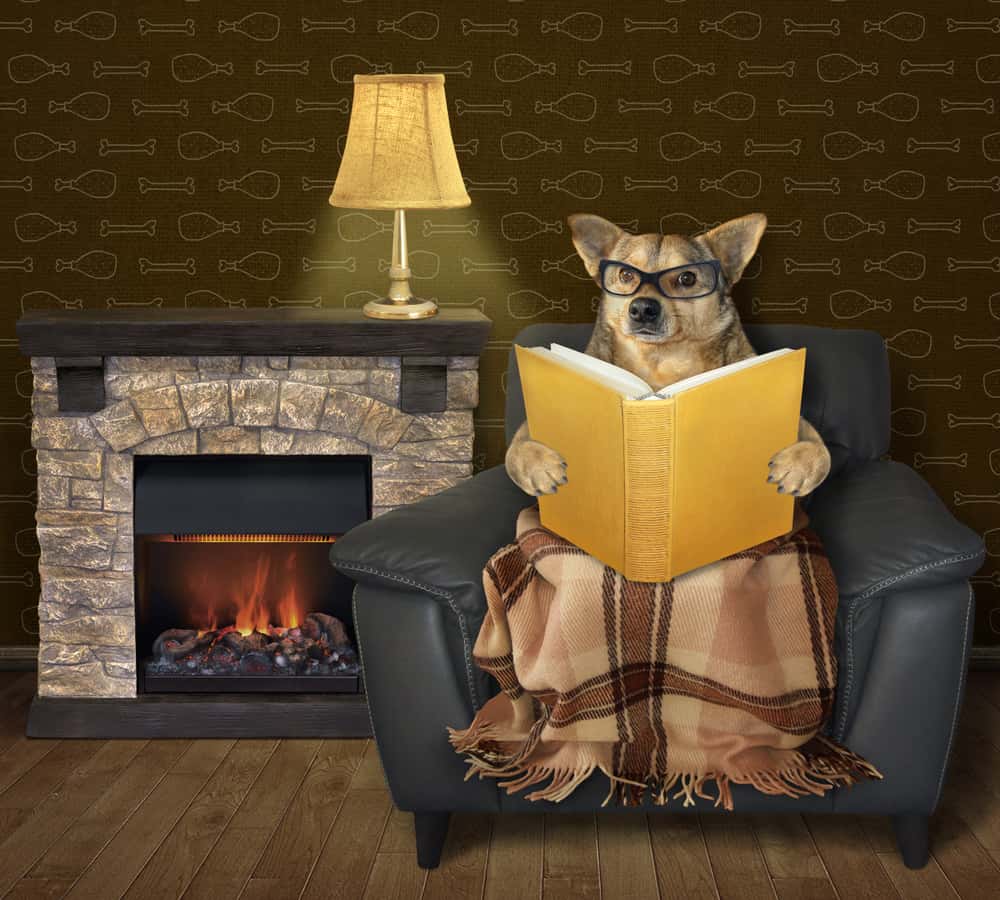 reading chair designs 
