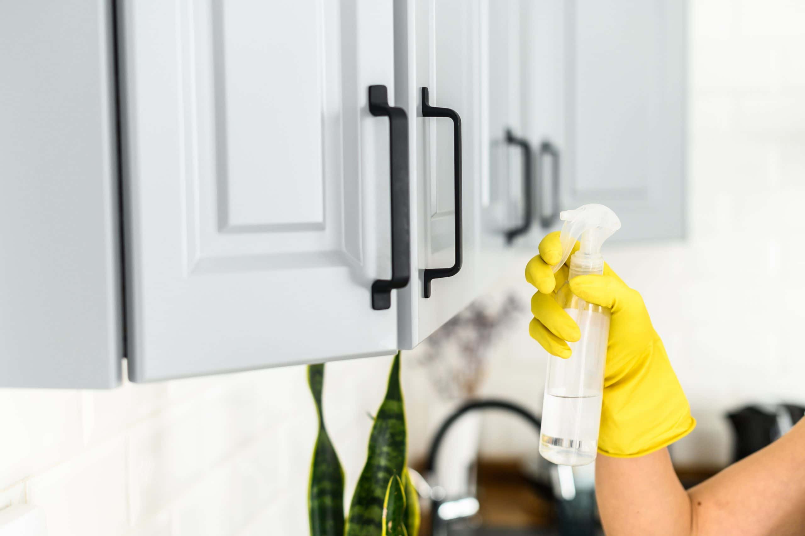 scrub the greasy cabinets
