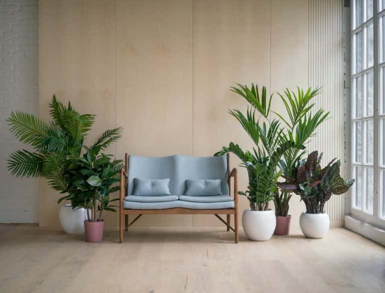 living room indoor plants decoration ideas