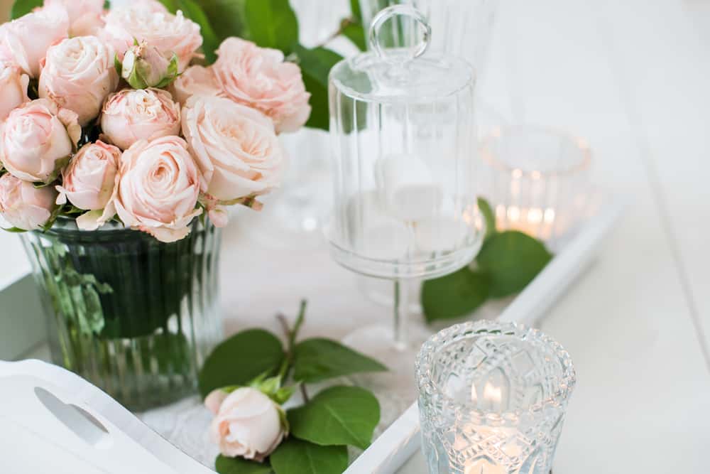 flowers and plants as decor