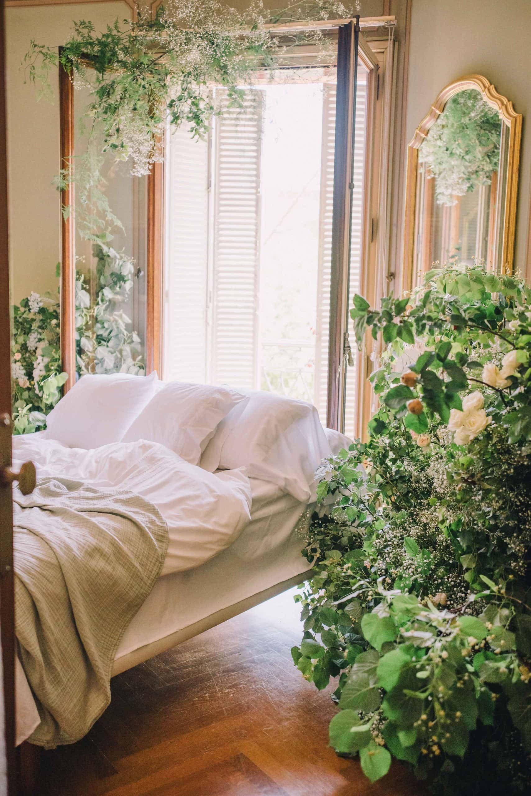 bohemian plants