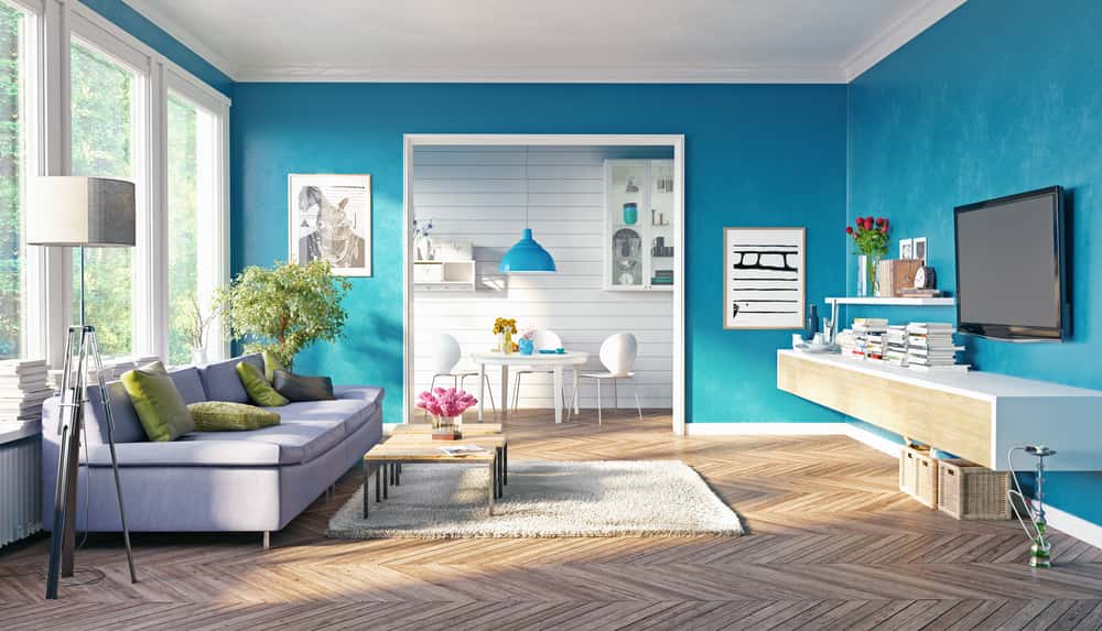 bold color theme