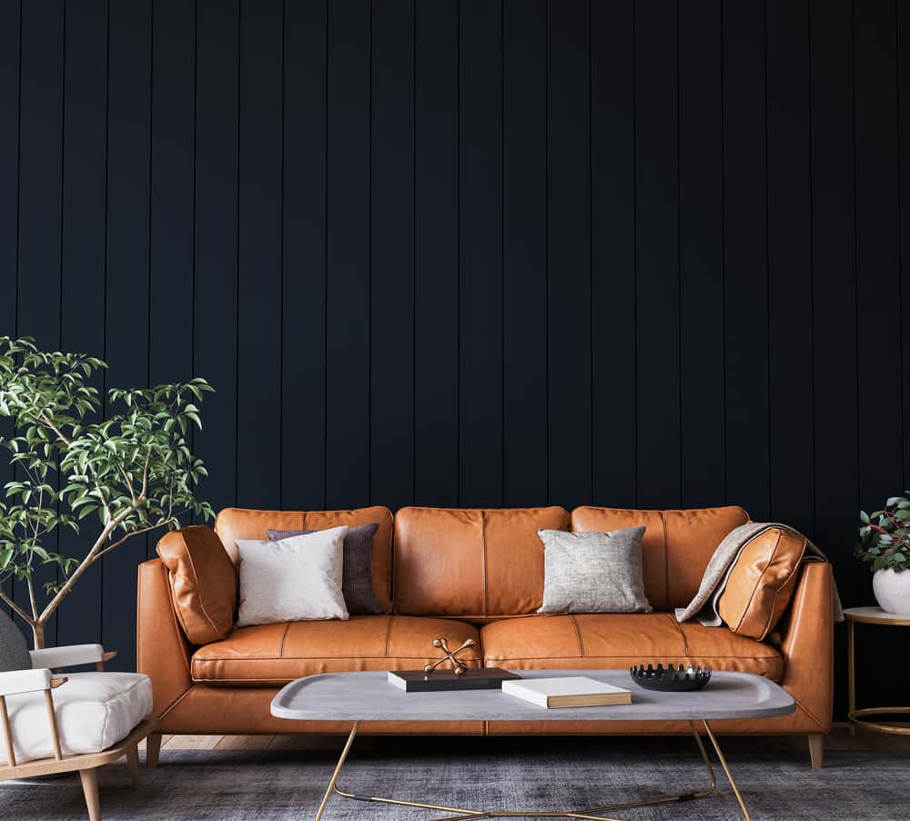 dusky shade for living room
