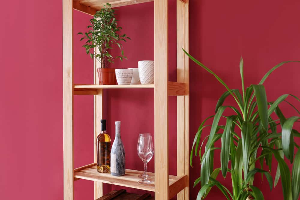 dark pink accent wall
