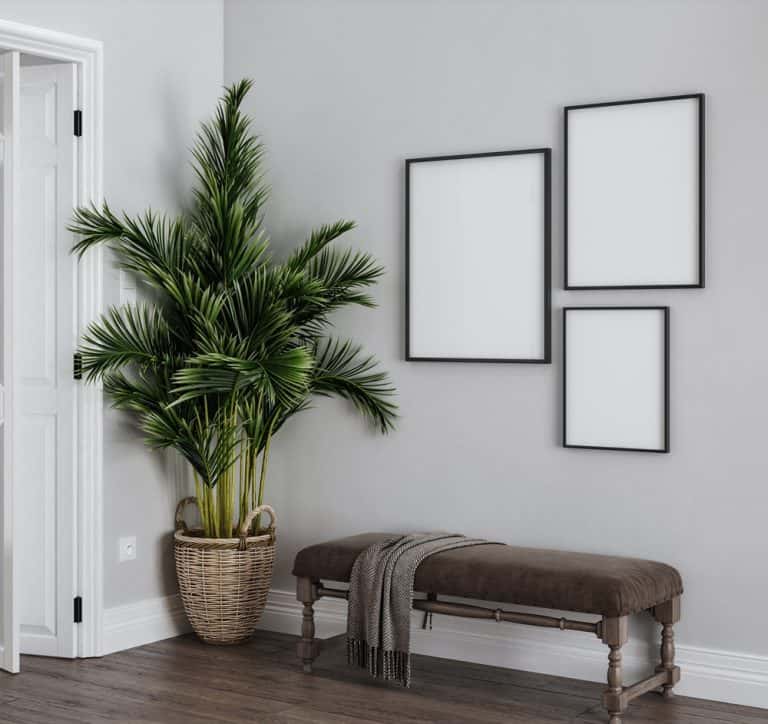 stylish foyer design ideas