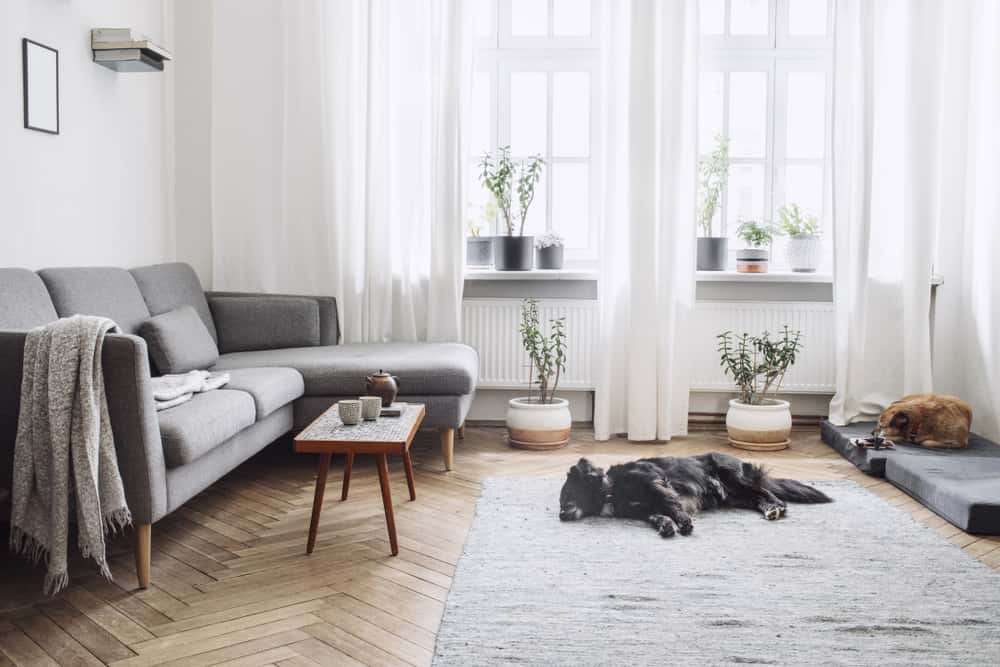 living room curtain color combination