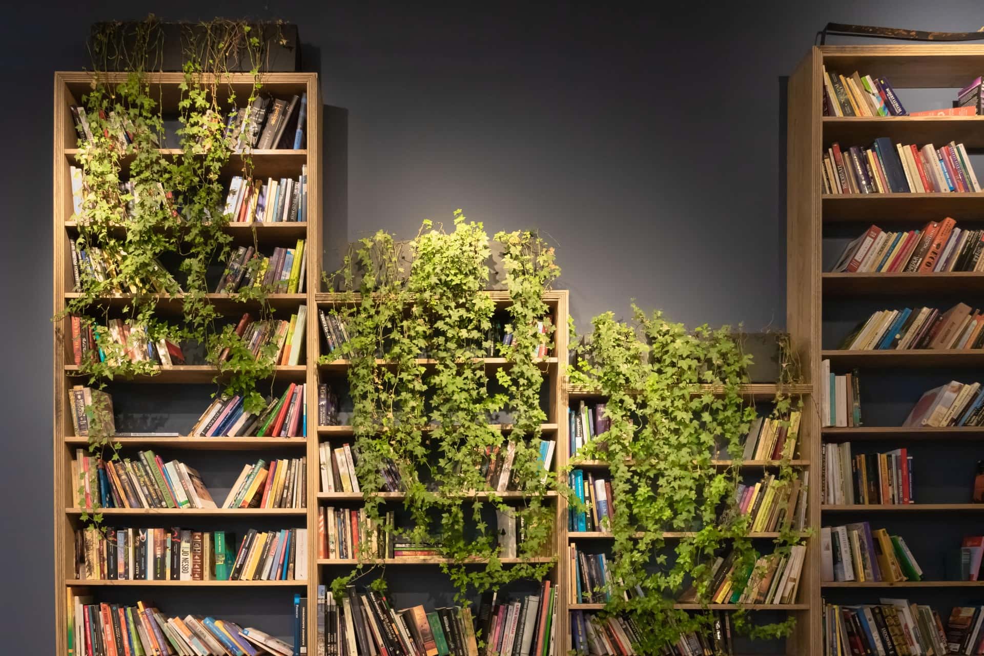 corridor wall design ideas using a library