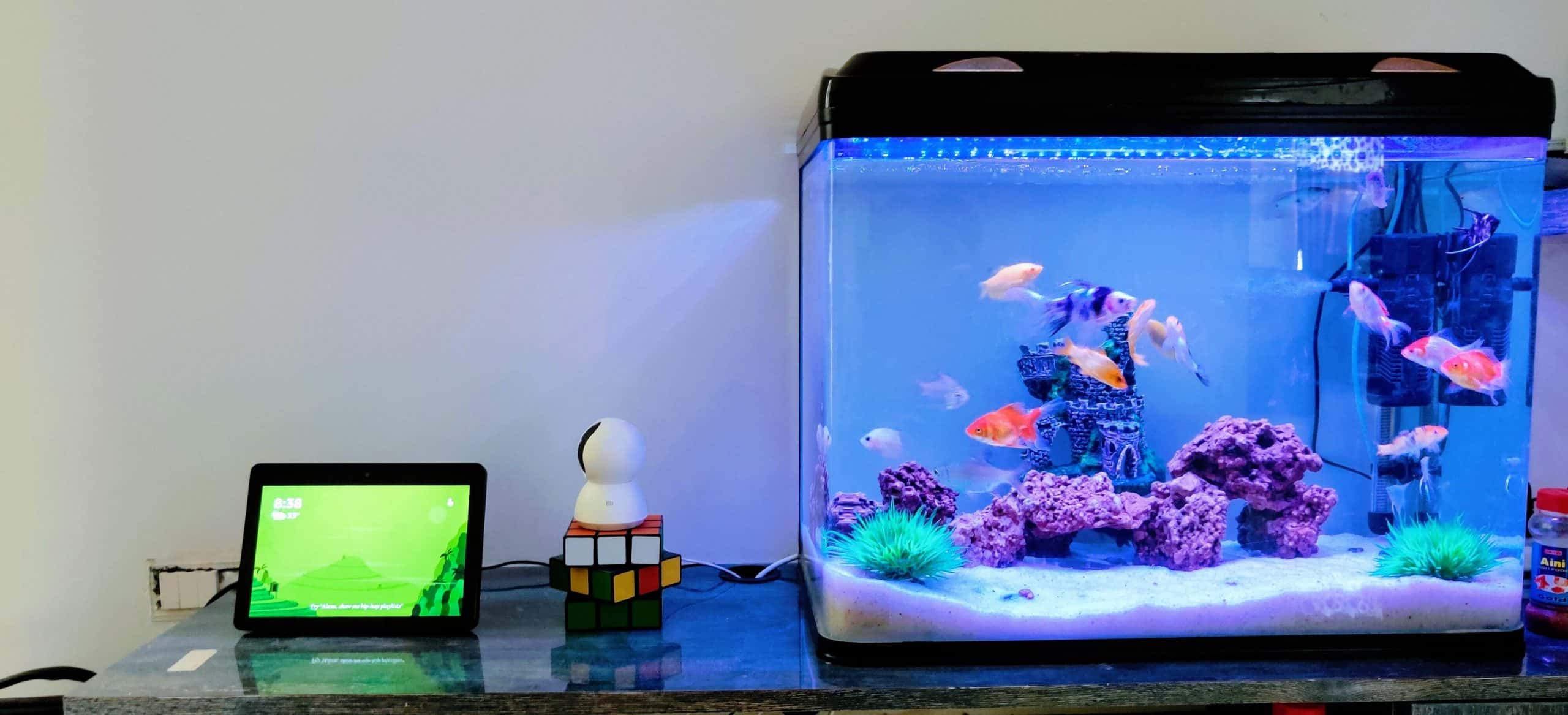 narrow corridor design ideas using aquarium