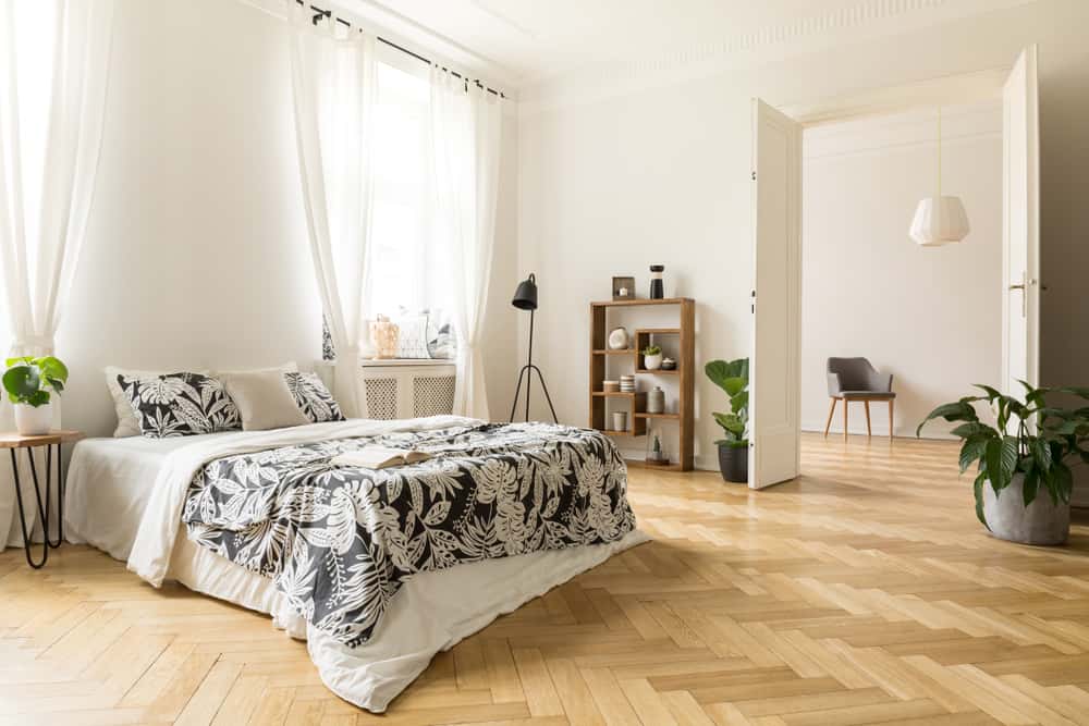 Floor Plan with White Walls