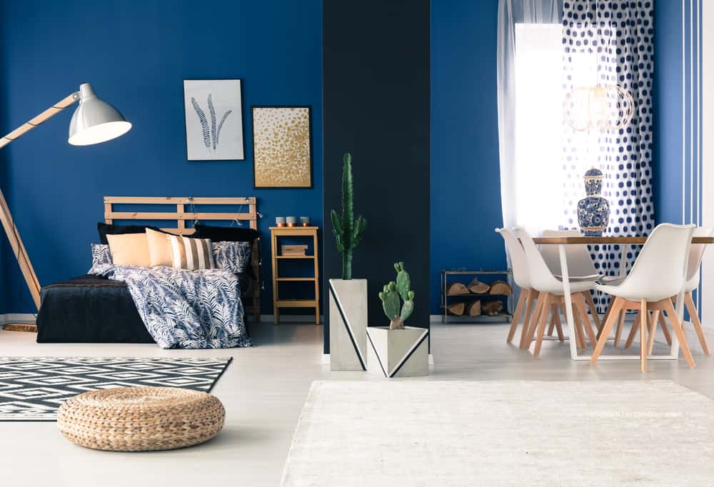 Vibrant colour combinations with black in blue and beige interiors