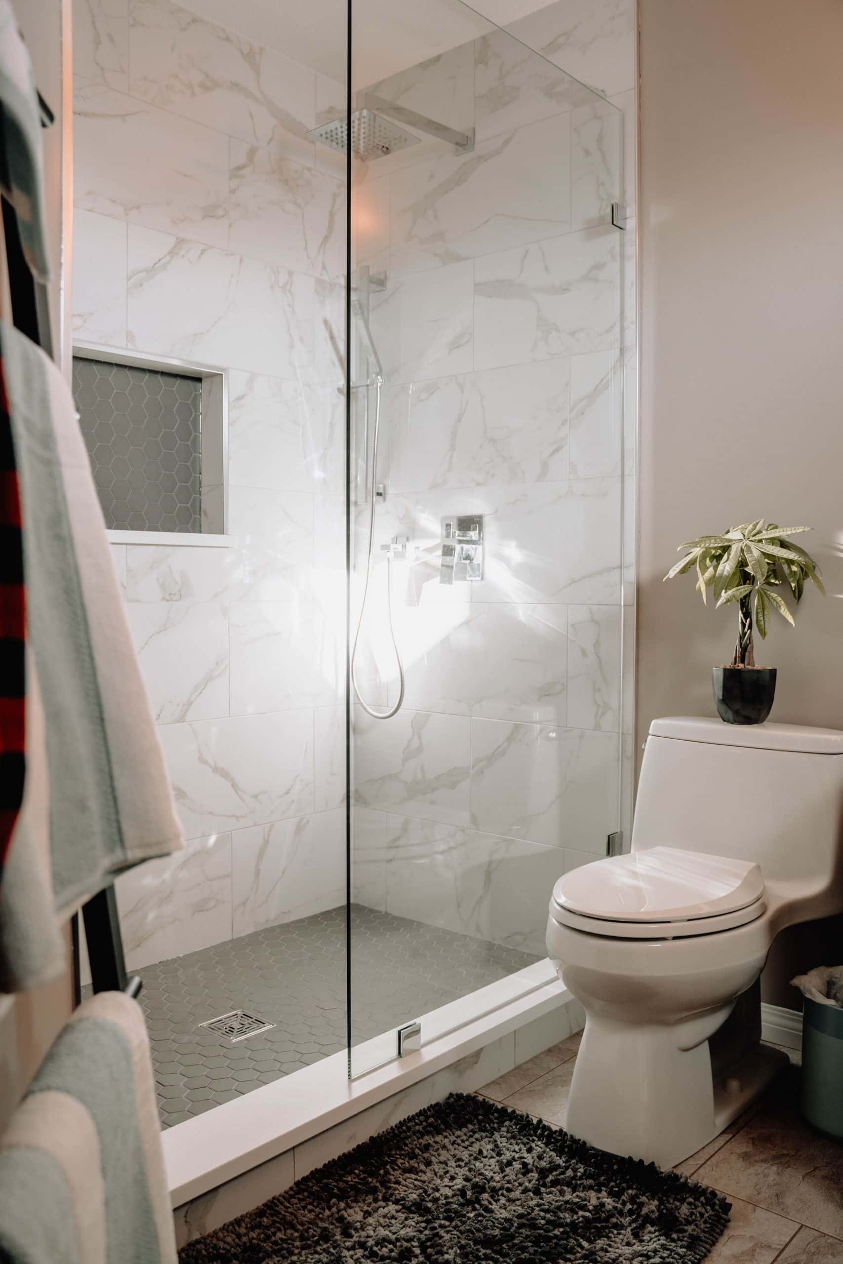 dual tone bathroom tiles