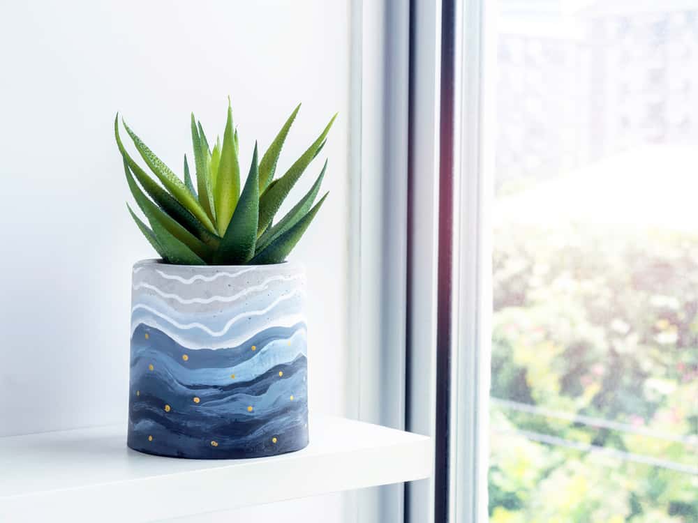 glass jar glass painting