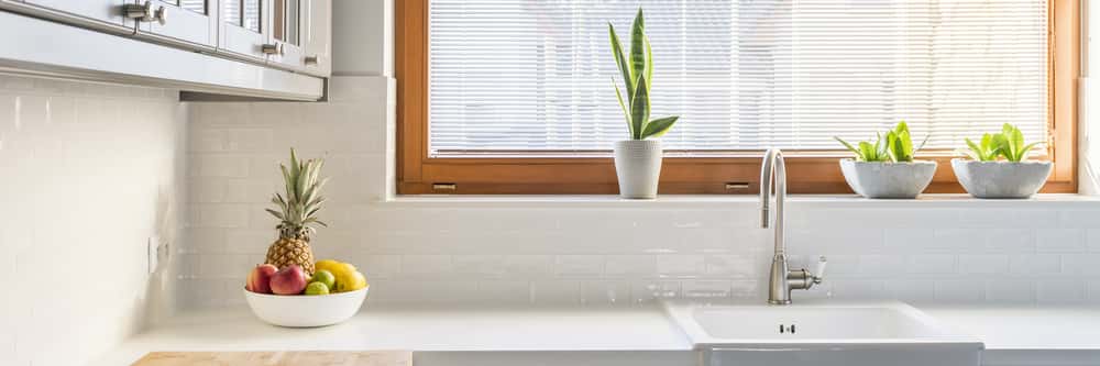 greenery in the scandinavian kitchen design