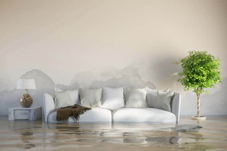 Living wall dampness caused by water leak behind interior plaster