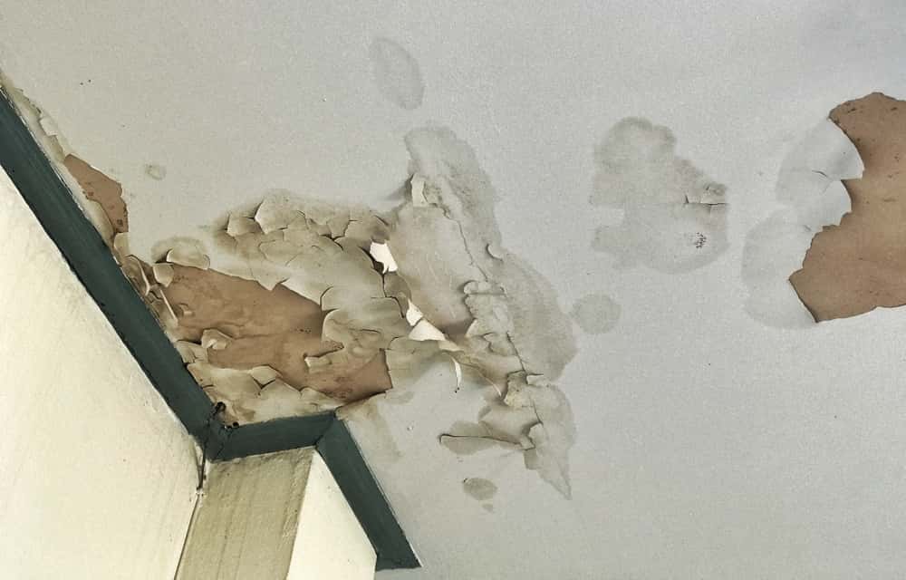 Ceiling hide wall seepage from ceilings with waterproof repair coat