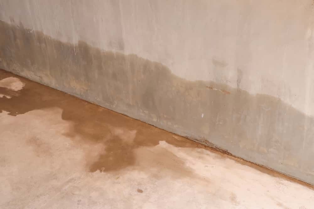 Basement water seepage in walls showing rising damp from ground