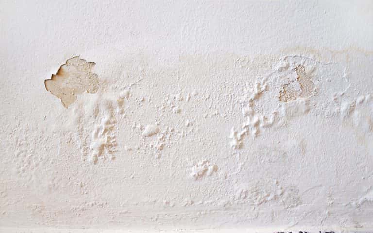 Damage how to hide wall seepage with repair techniques and paint