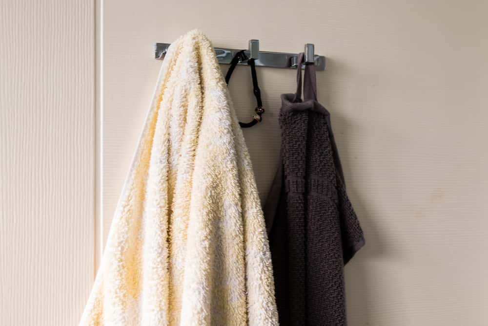 functional bathroom door with Hinges