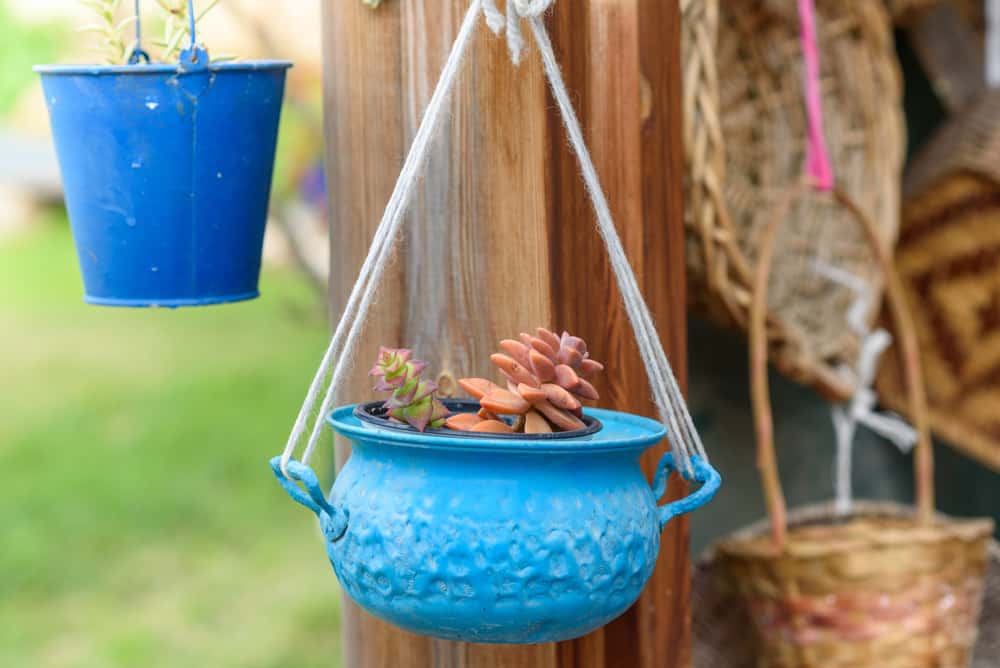 Reused and Recycled Planters