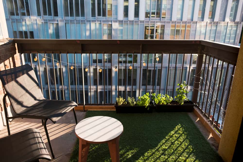 grass turf and potted plants