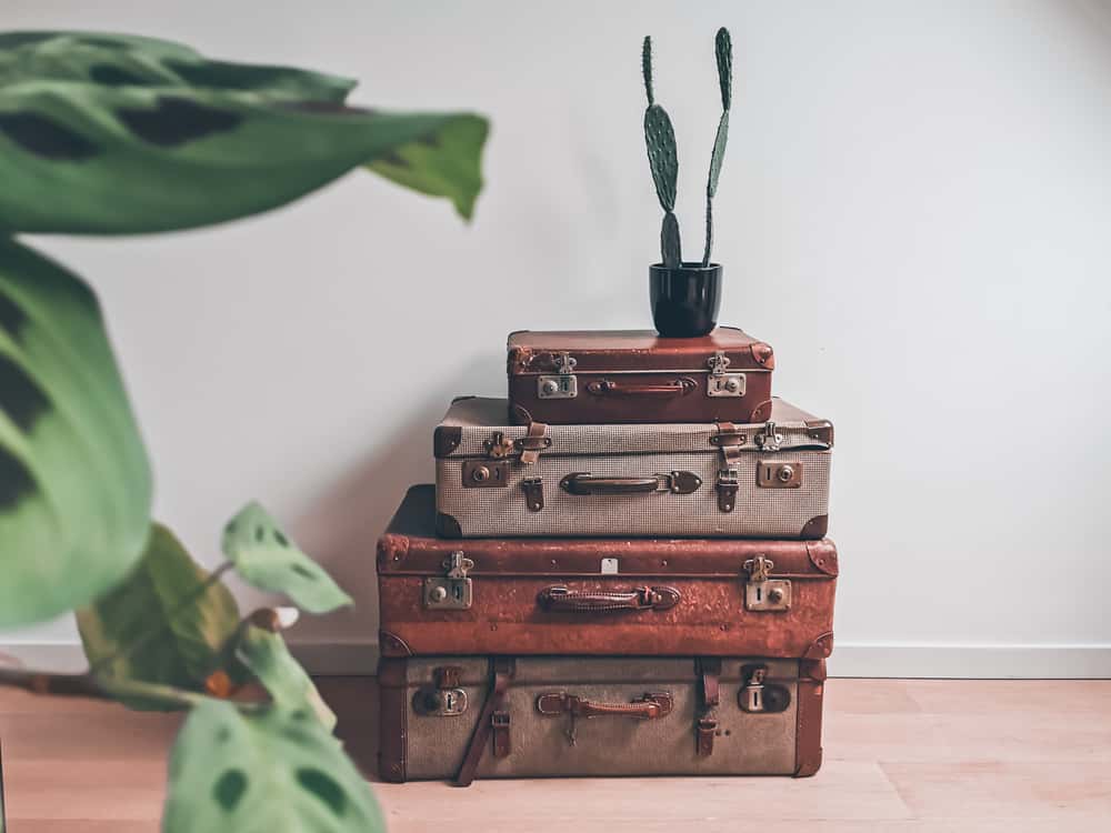 Vintage Suitcases